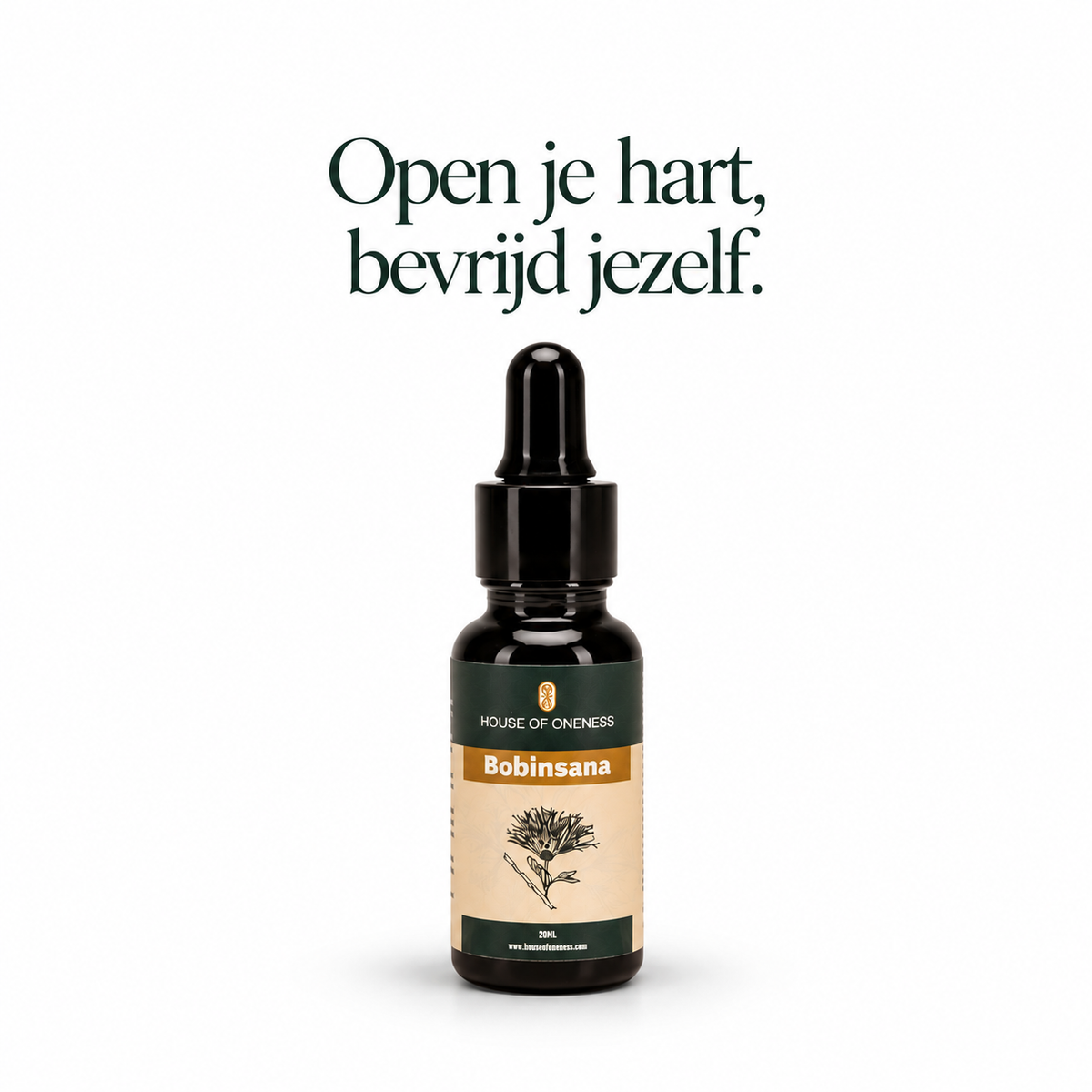 Bobinsana. Kom uit je hoofd. Terug naar jezelf.