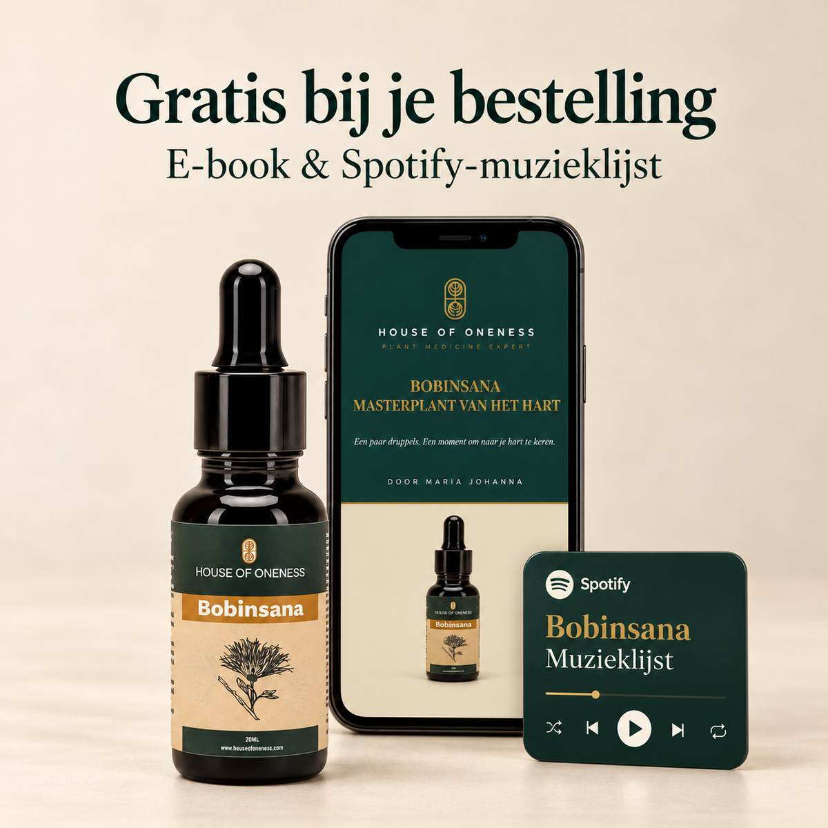 Gratis bij je bestelling: e-book en Spotify-playlist