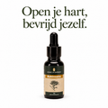 Kom uit je hoofd. Terug naar jezelf.