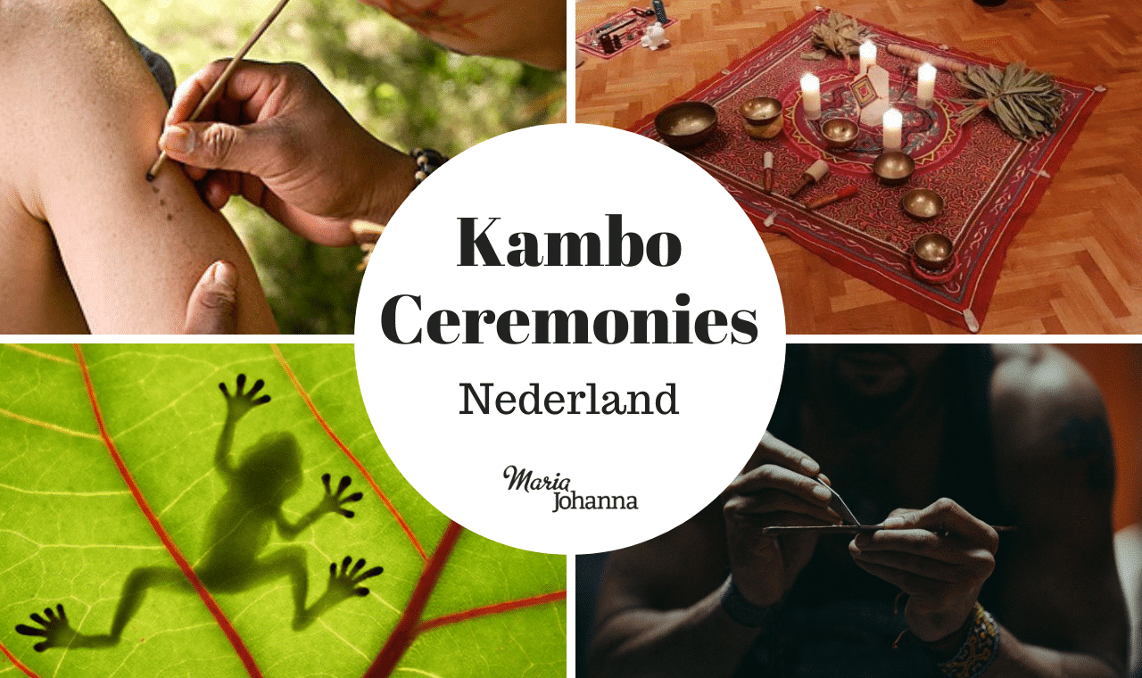 kambo_ceremonie